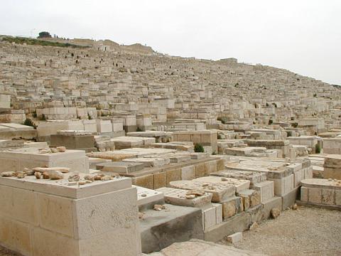 img/pic00118.jpg