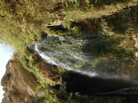 img/pic00196.jpg