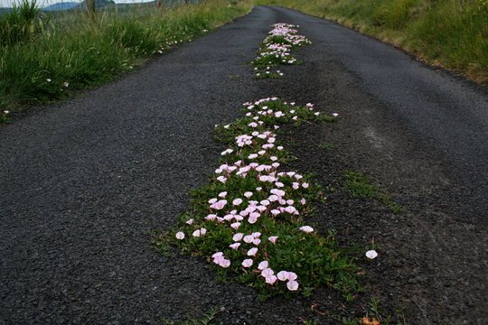 img/rg/img_1916.jpg