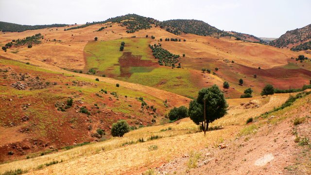 img/rg/p1080355.jpg