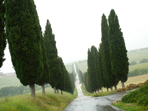 img/rg/p1040643.jpg