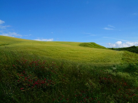 img/rg/p1040698.jpg
