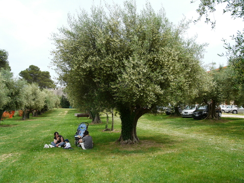 img/rg/p1040871.jpg