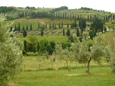 img/rg/p1040946.jpg