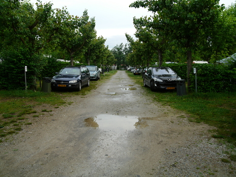 img/rg/p1050157.jpg