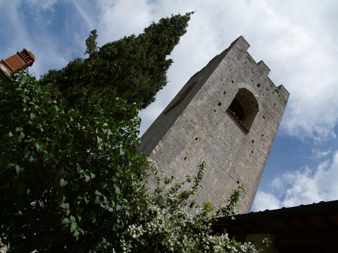 img/rg/p1050336.jpg