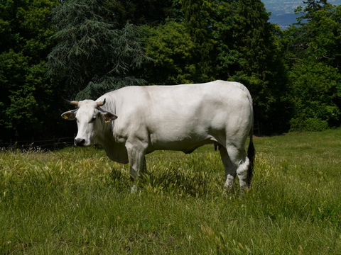 img/rg/p1050346.jpg