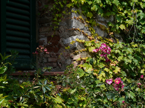 img/rg/p1050360.jpg
