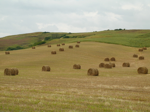 img/rg/p1050463.jpg