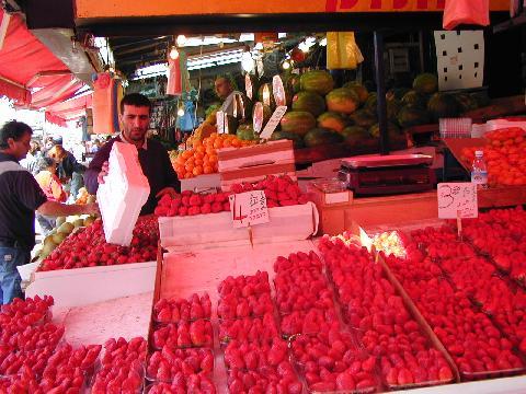 img/pic00079.jpg